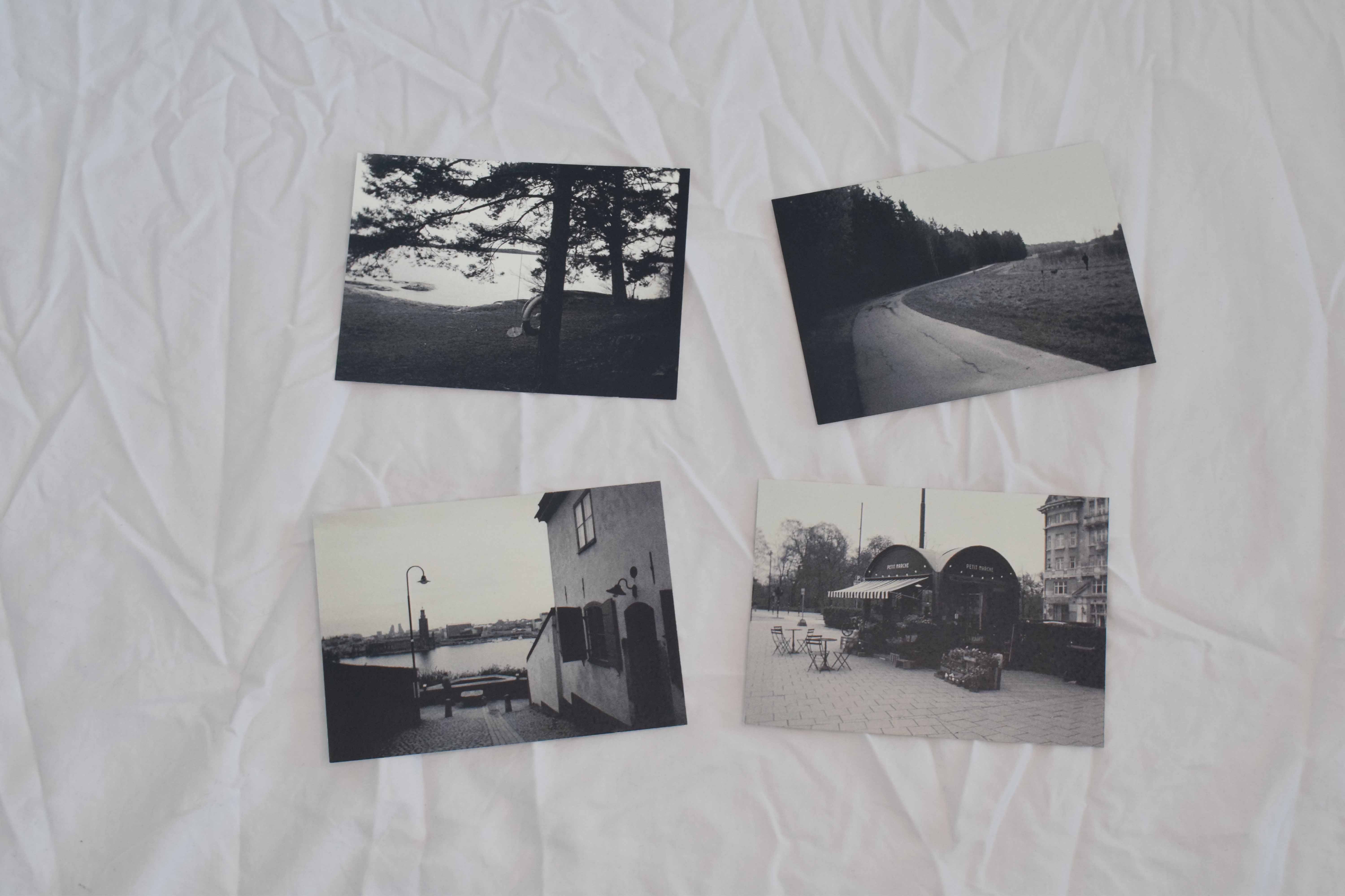 Alisa Venelinova project image